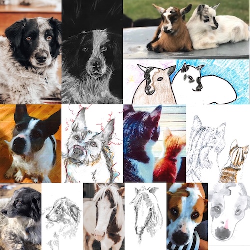 Frame Fluffy EAPL Furry Friend Fundraiser collage